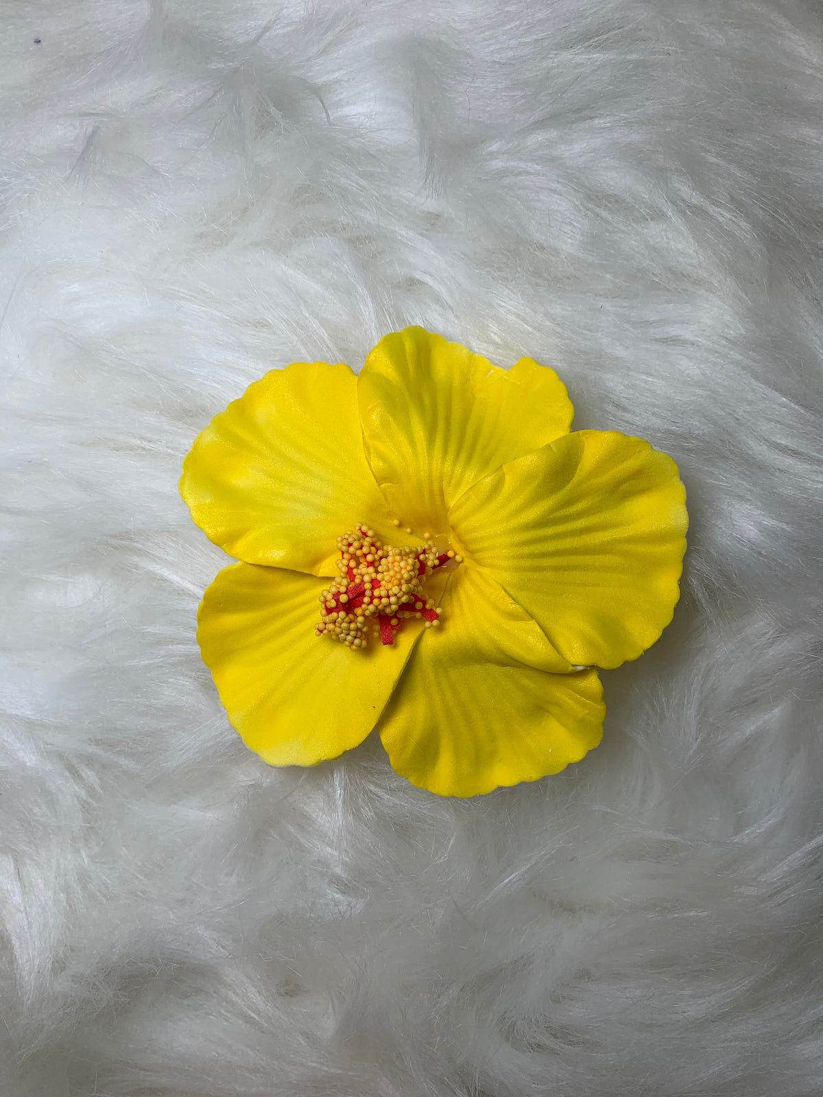 Hair Accessories