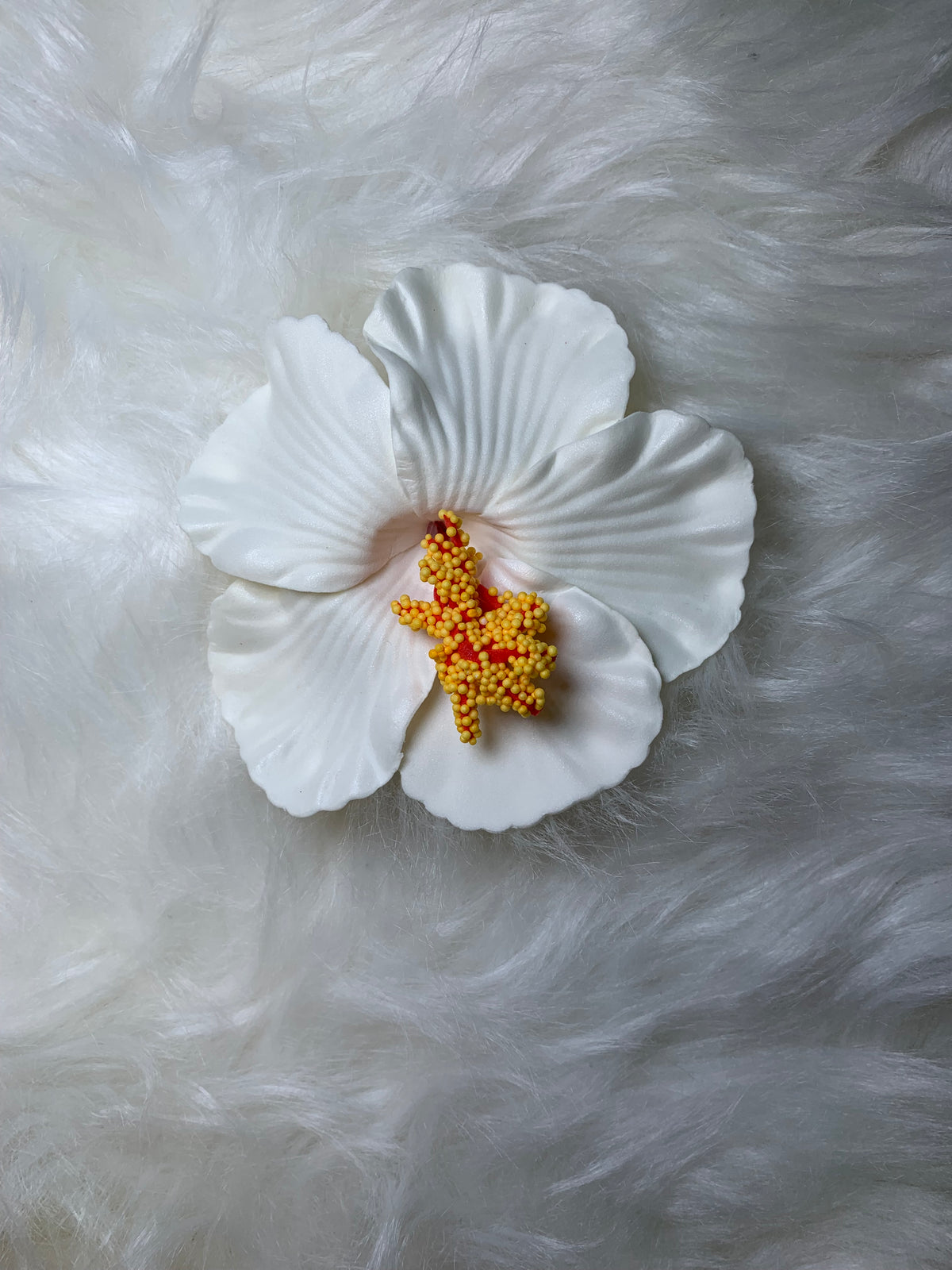 Hair Accessories